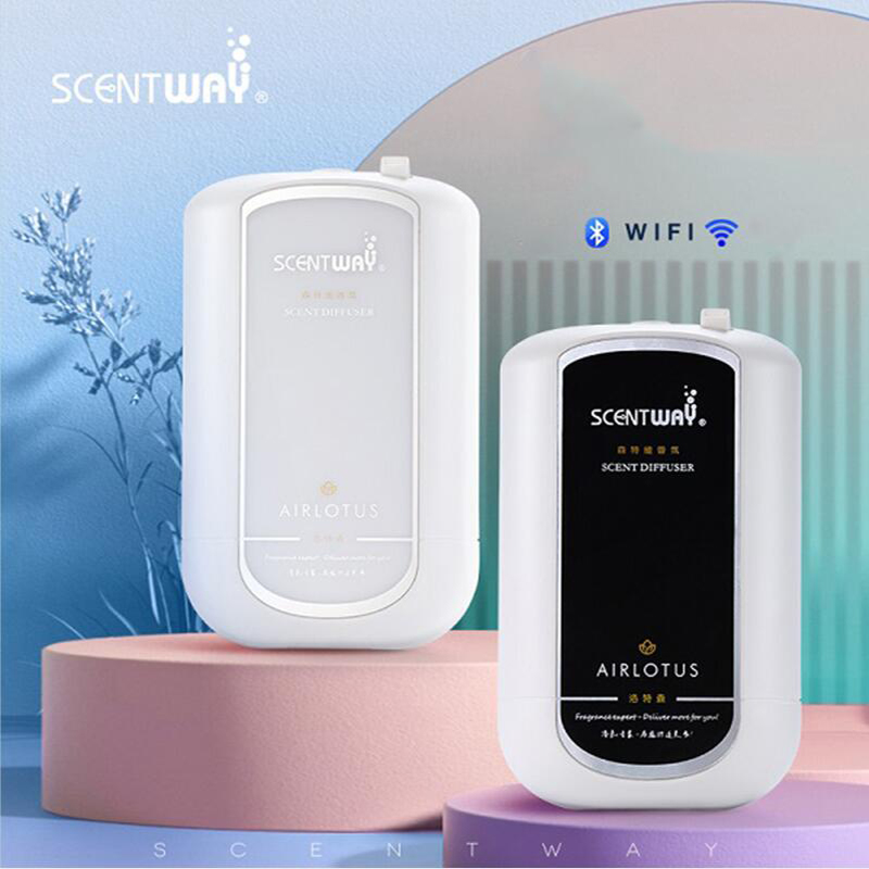 Dyfuzor zapachowy z czystym ol – Home Fragrance Essential Oils recenzja i cena