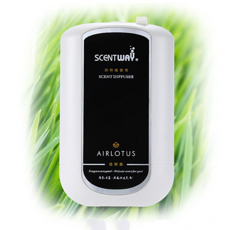 Dyfuzor zapachowy z czystym ol – Home Fragrance Essential Oils recenzja i cena