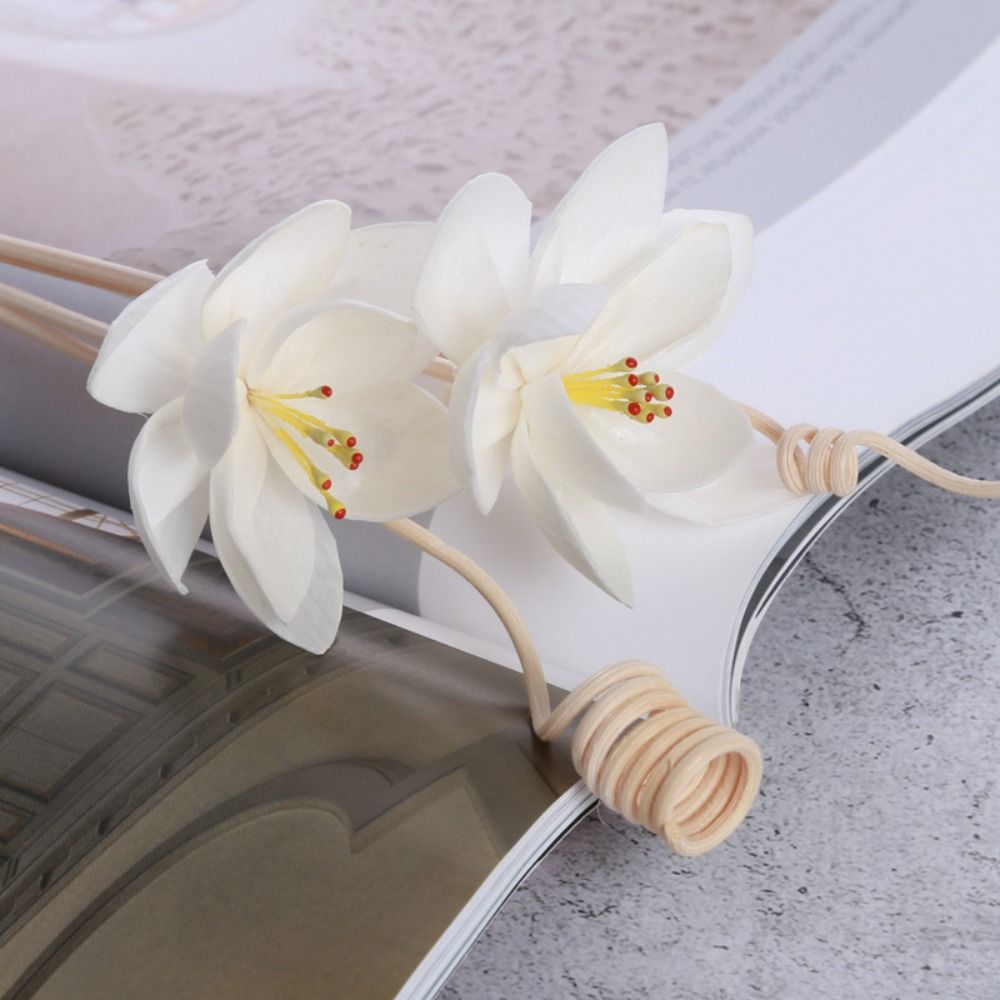 Wielofunkcyjne, naturalne, ręc – Home Fragrance Incense Sticks recenzja i cena
