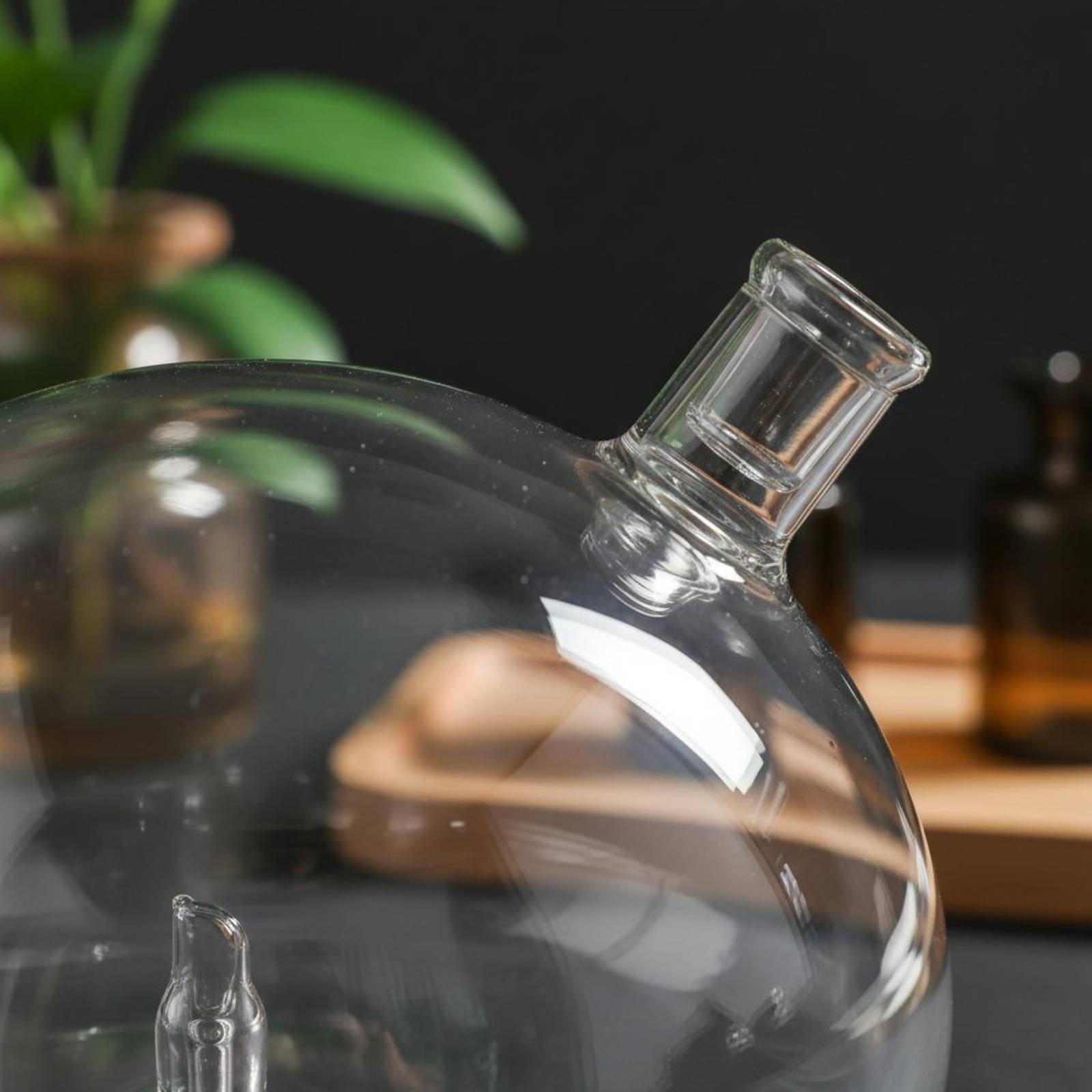 Uniwersalna szklana butelka za – Home Fragrance Diffusers recenzja i cena
